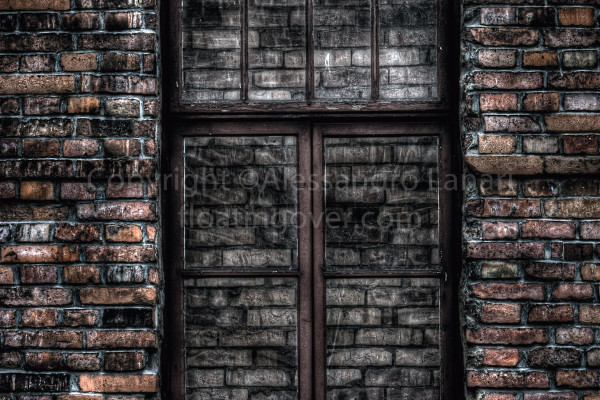 The Closed Window - Auschwitz